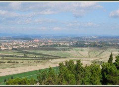  Nature Etang assch de Montady (11)