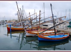  Bateaux Barques catalanes