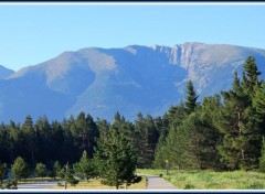  Nature Le Cambre d'Aze dans les Pyrnes-Orientales