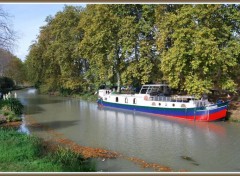  Nature Canal du Midi - Nissan ls Ensrune