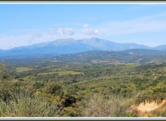  Nature Massif du Canigou (Pyrénées)