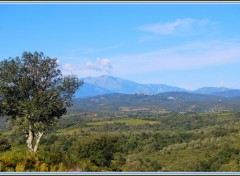  Nature Massif du Canigou dans les Pyrénées Orientales