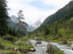  Nature Cauterets : la fruitire