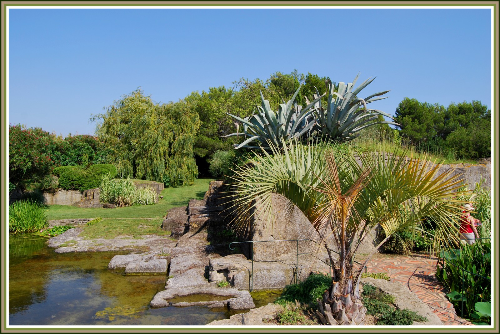 Wallpapers Nature Parks - Gardens Jardin de Saint-Adrien - Servian (34)