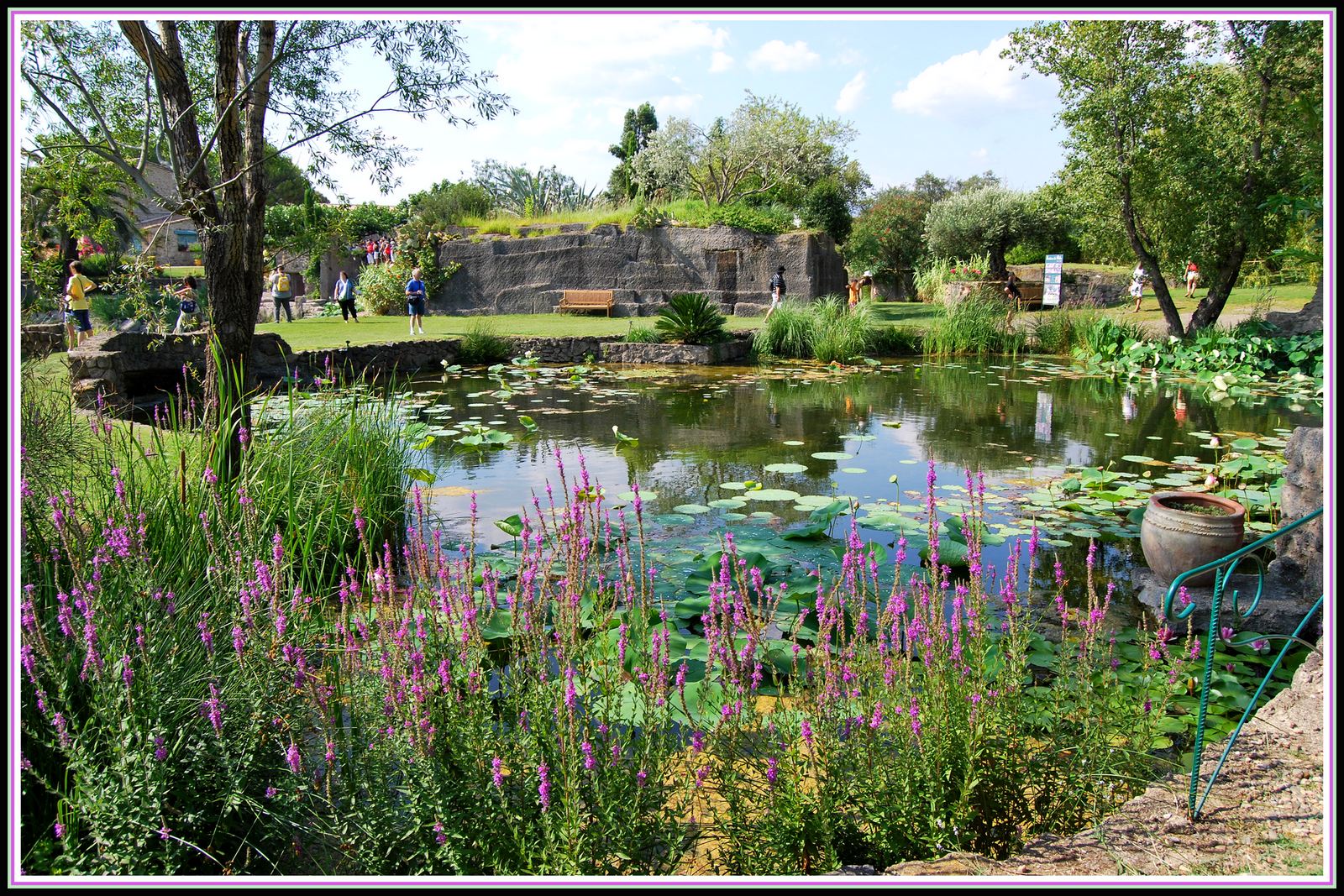 Wallpapers Nature Parks - Gardens Jardin de Saint-Adrien - Servian (34)