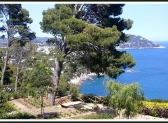  Nature Jardin botanique de Palafrugell (Espagne)