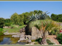 Fonds d'cran Nature Jardin de Saint-Adrien - Servian (34)