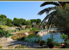  Nature Jardin de Saint-Adrien - Servian (34)