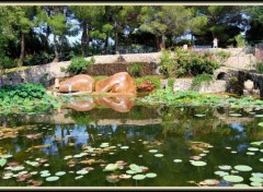 Fonds d'cran Nature Jardin de Saint-Adrien - Servian (34)