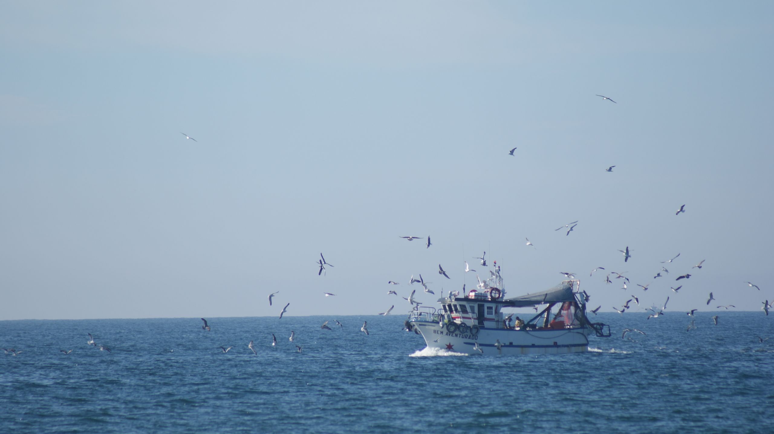 Wallpapers Boats Fishing Boats 