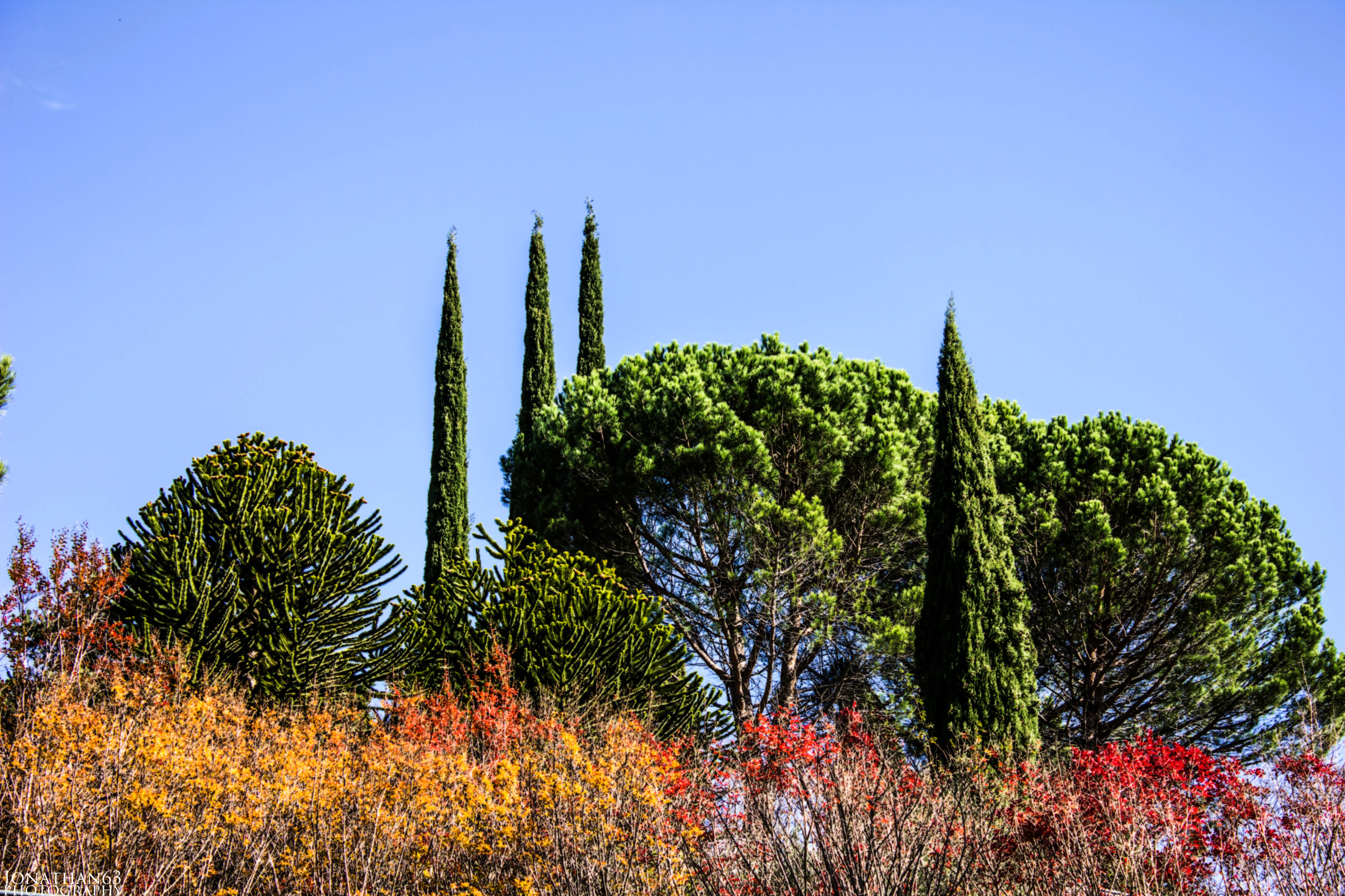 Fonds d'cran Nature Parcs - Jardins 