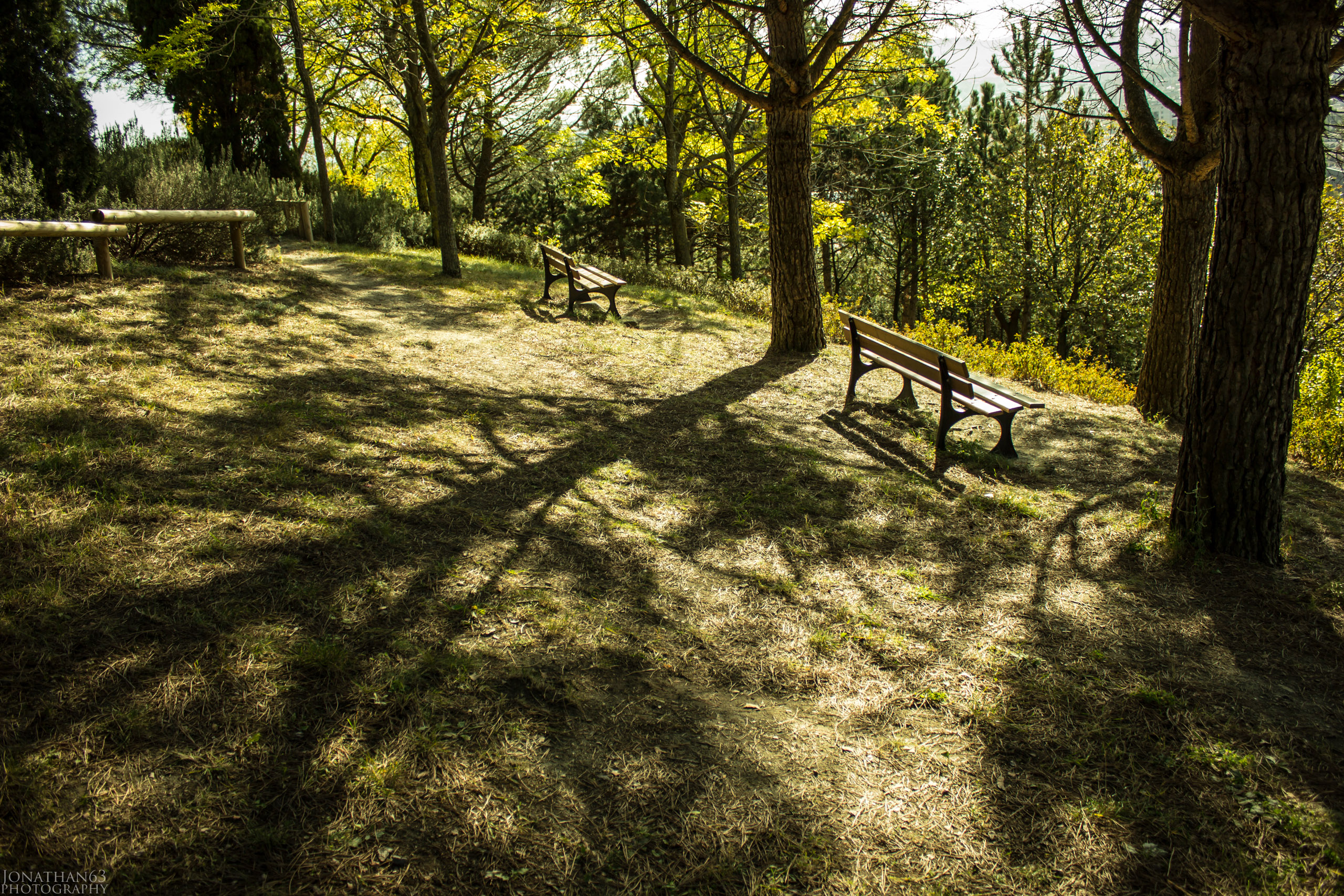 Fonds d'cran Nature Parcs - Jardins 