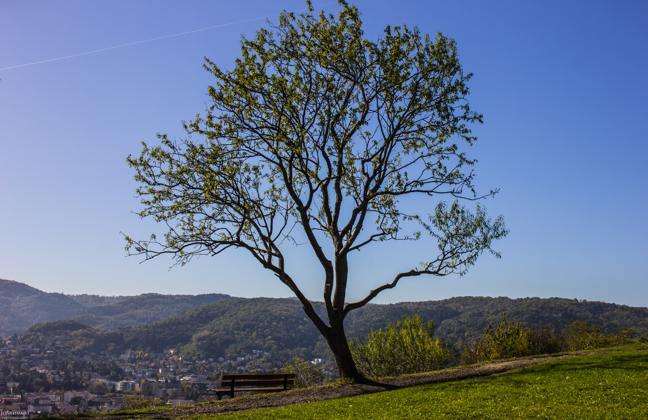 Fonds d'cran Nature Arbres - Forts 