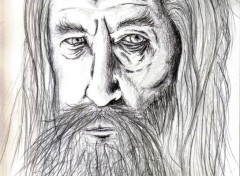  Art - Pencil Gandalf