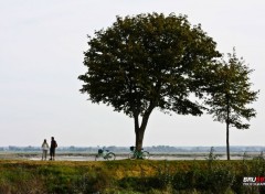  Trips : Europ Saint Valery sur Somme - Vélos sur Balcon