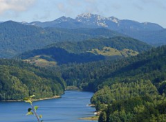  Nature Lakes Forest Landscape Nature