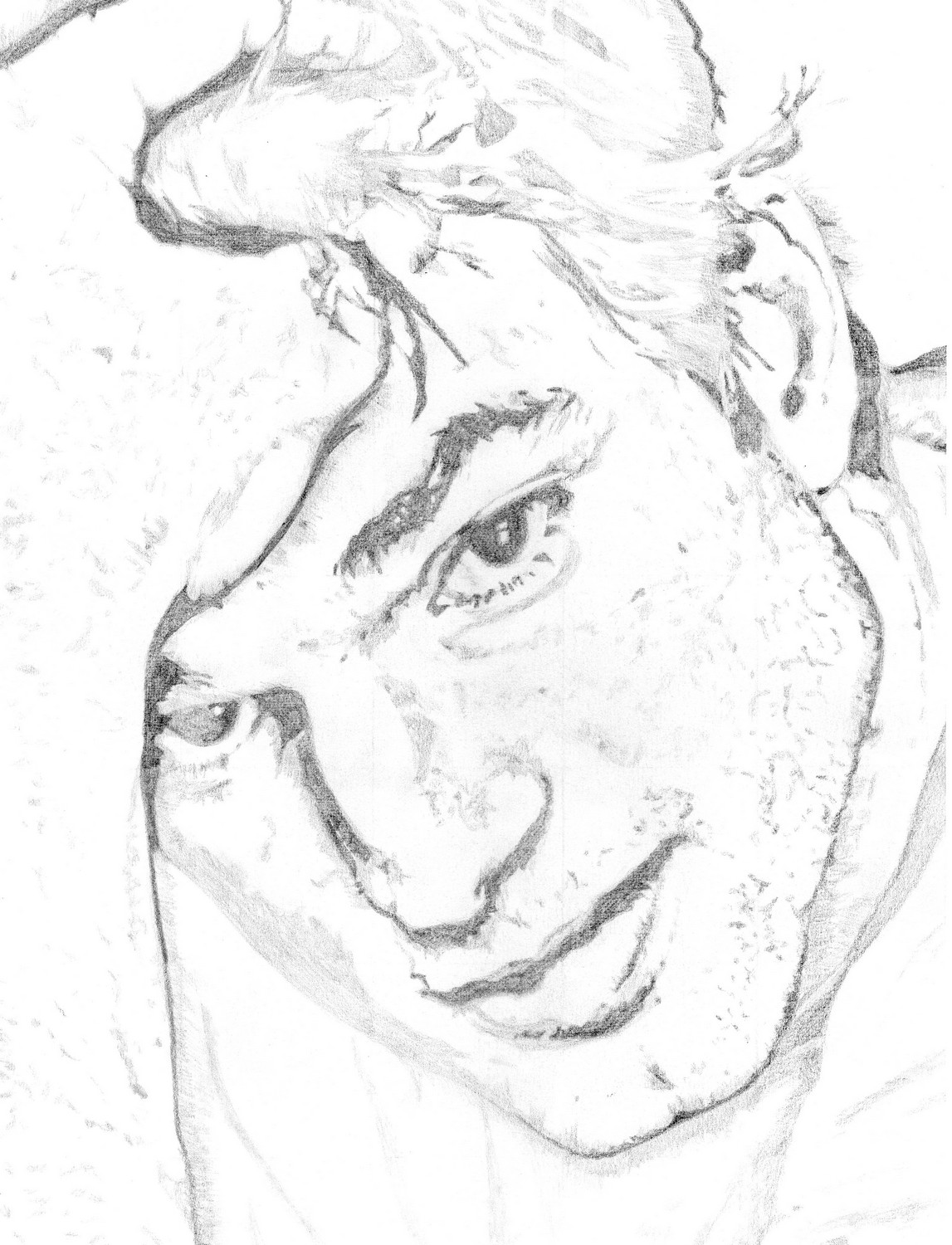 Wallpapers Art - Pencil Portraits Ashton Kutcher