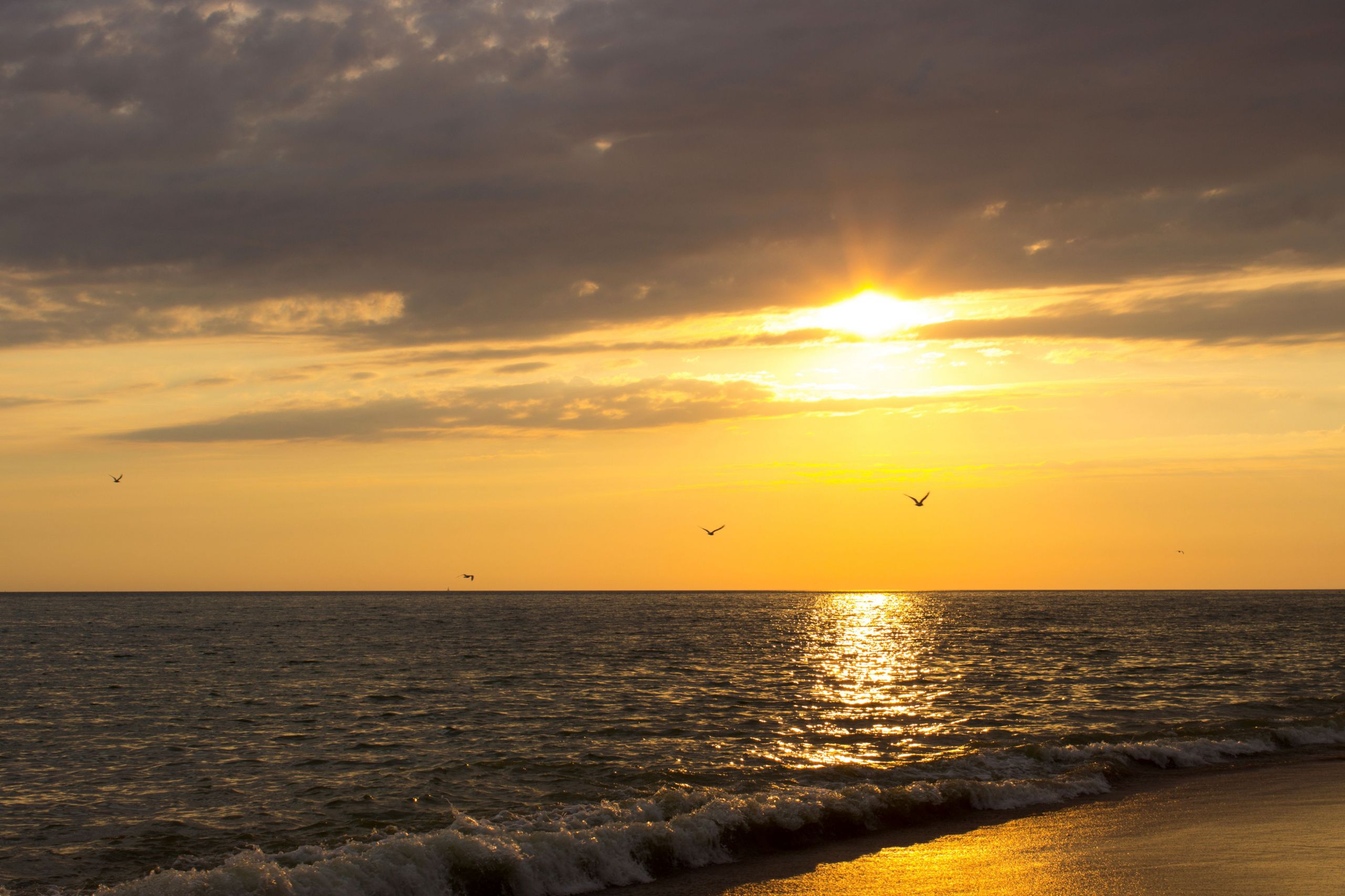 Fonds d'cran Nature Mers - Ocans - Plages 