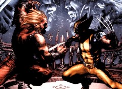  Comics et BDs Wolverine vs Sabretooth