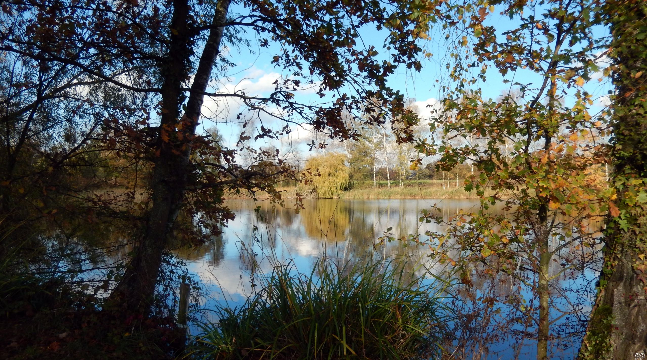 Wallpapers Nature Lakes - Ponds Une belle journée d'automne