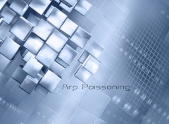  Informatique ARP poisonning