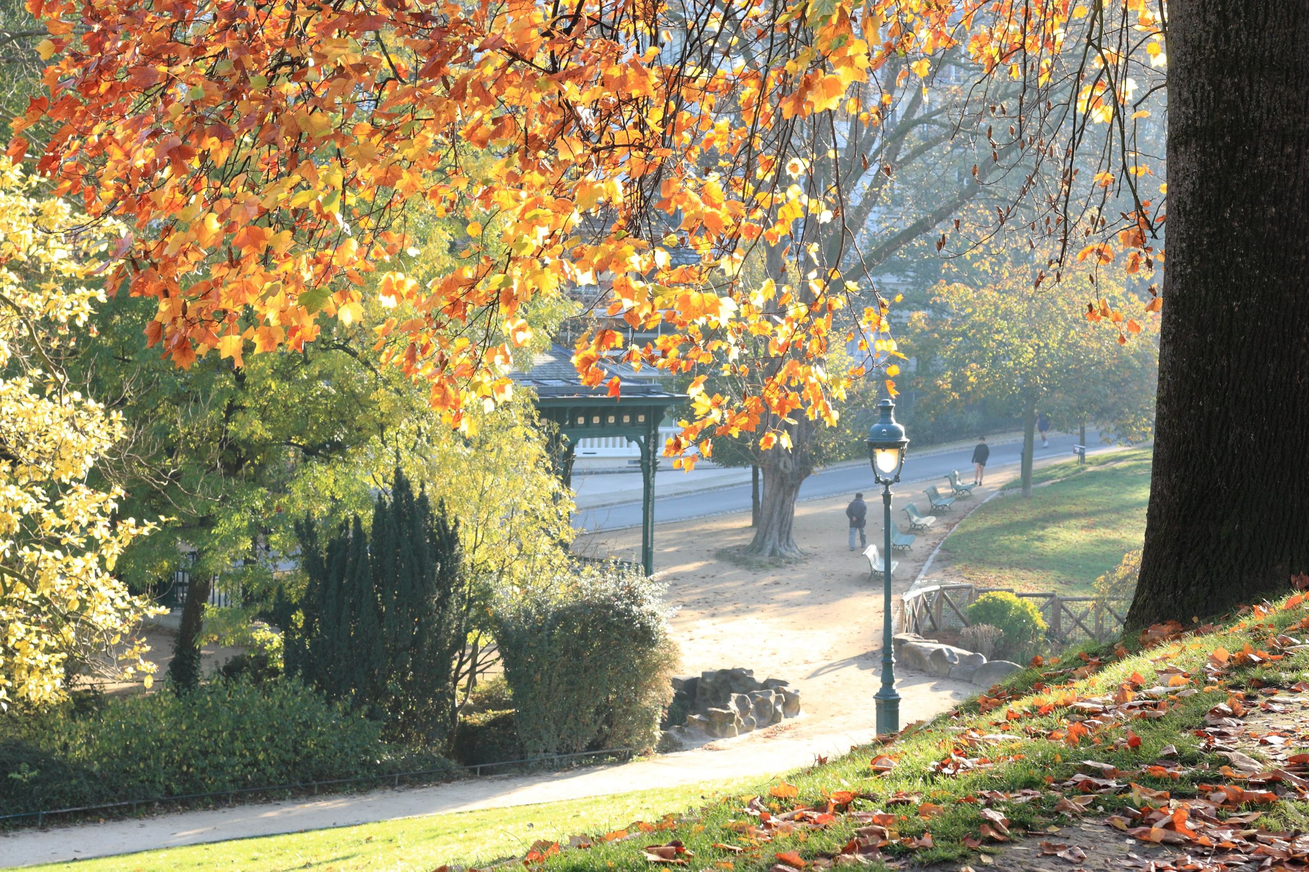 Fonds d'cran Nature Parcs - Jardins Parc Monsouris Paris Novembre 2014