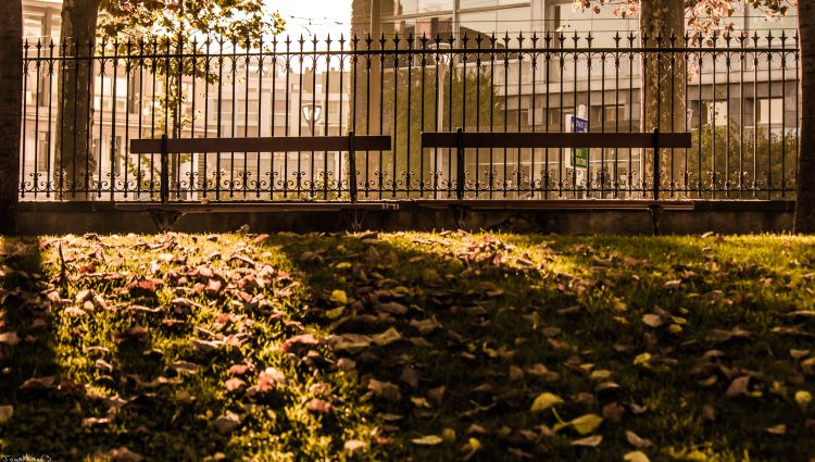 Fonds d'cran Nature Parcs - Jardins Bancs