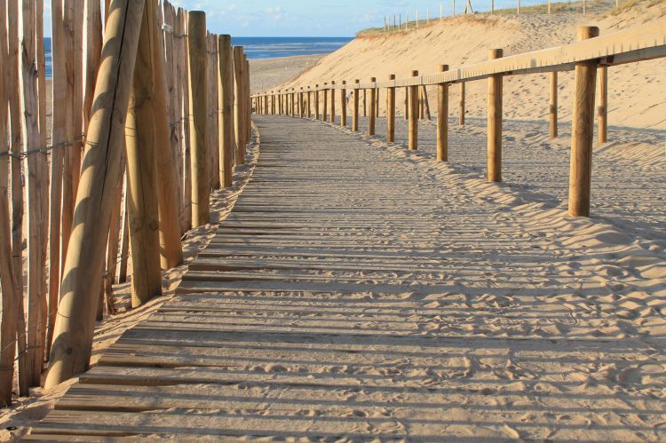 Fonds d'cran Nature Mers - Ocans - Plages La rive est au bout du chemin.