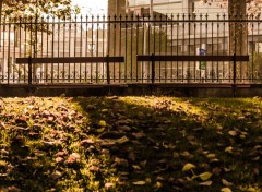  Nature Bancs