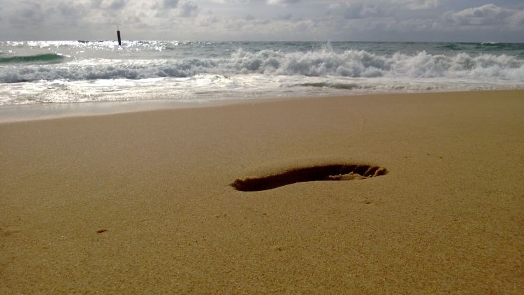 Fonds d'cran Nature Mers - Ocans - Plages Trace de pas