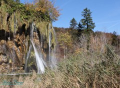  Nature  cascade 