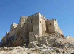  Voyages : Asie Le château de Masyaf