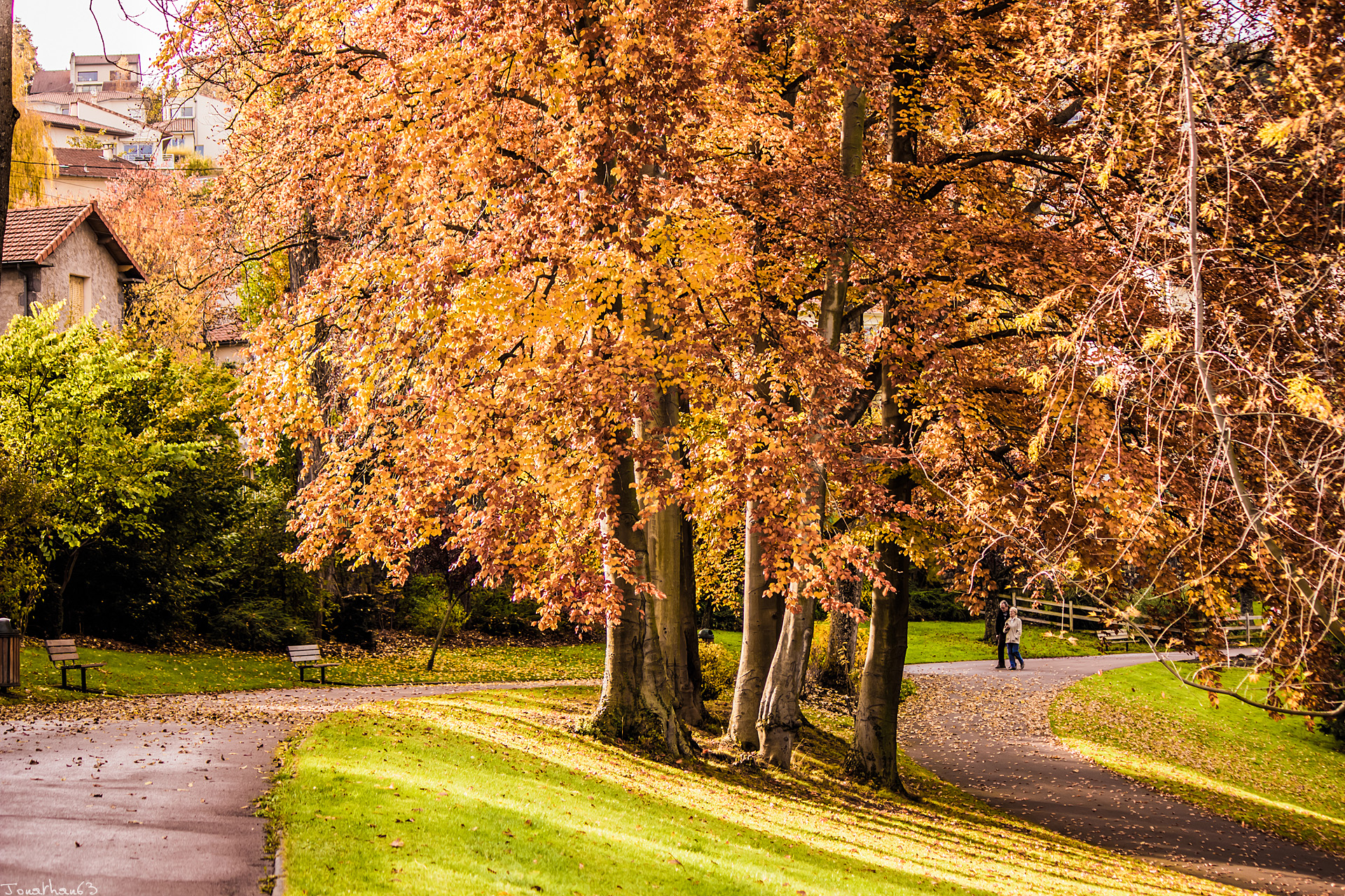 Fonds d'cran Nature Parcs - Jardins Parc en automne