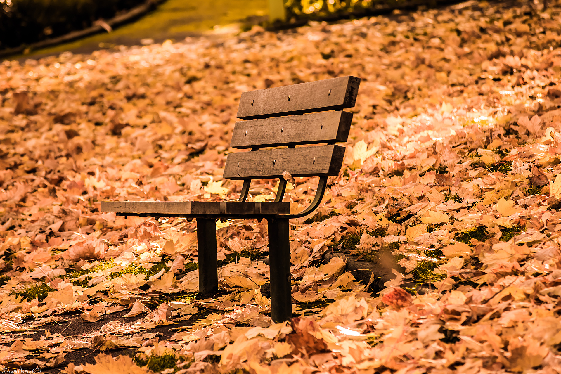 Fonds d'cran Nature Saisons - Automne Automne