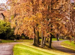  Nature Parc en automne