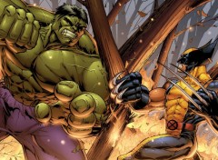  Comics et BDs Wolverine vs Hulk