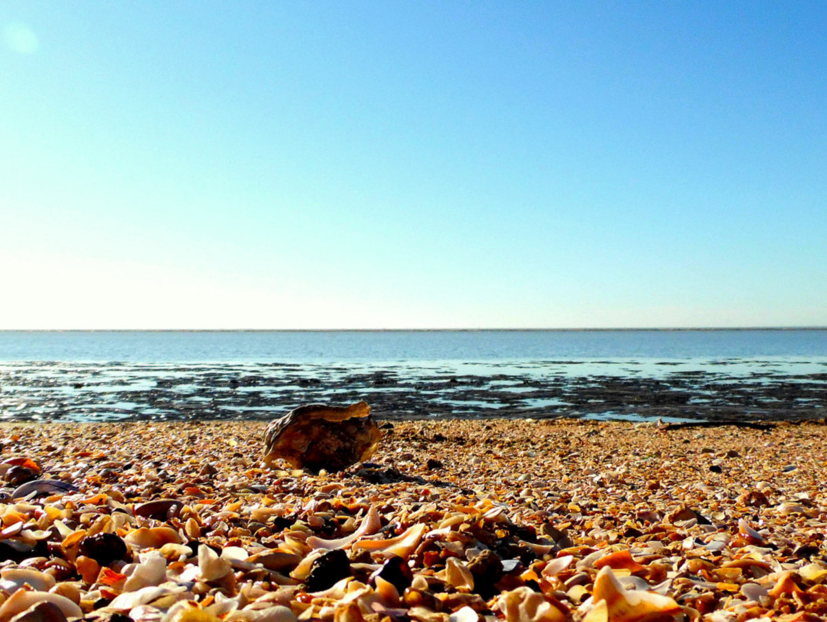 Fonds d'cran Nature Mers - Ocans - Plages 