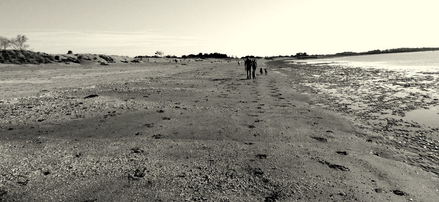 Fonds d'cran Nature Mers - Ocans - Plages 