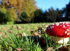  Nature Colors of autumn