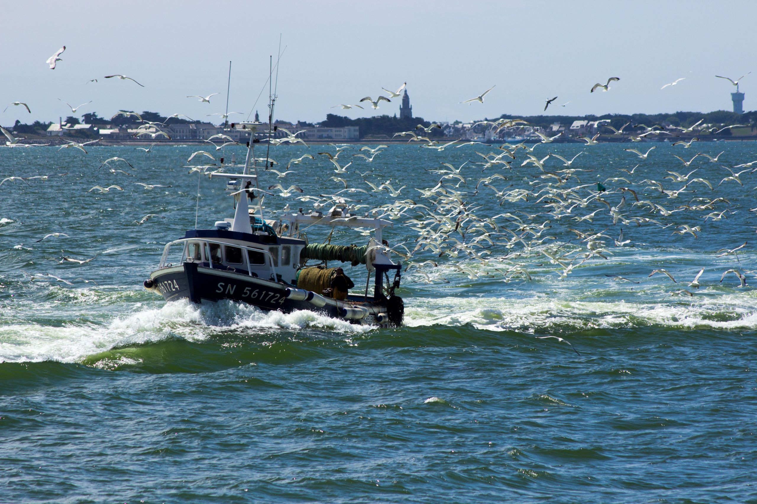 Fonds d'cran Bateaux Bateaux de pche Retour de pêche