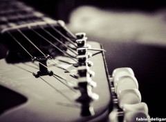  Music fender