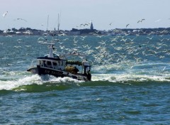  Boats Retour de pêche