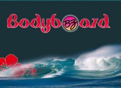  Sports - Leisures Bodyboard BZ