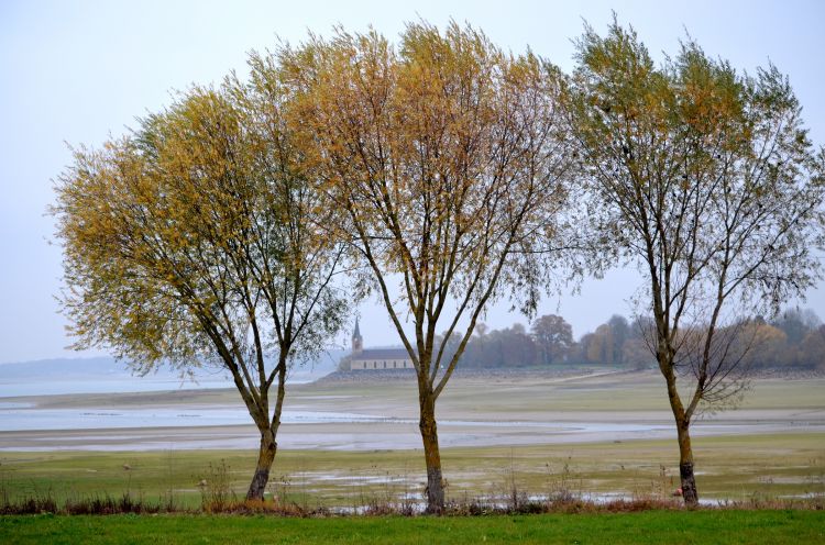 Fonds d'cran Nature Arbres - Forts  petite chapelle au lac du der