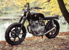  Motos Lions Den Customs CUB 001