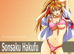 Fonds d'cran Erotic Art ikki tousen album