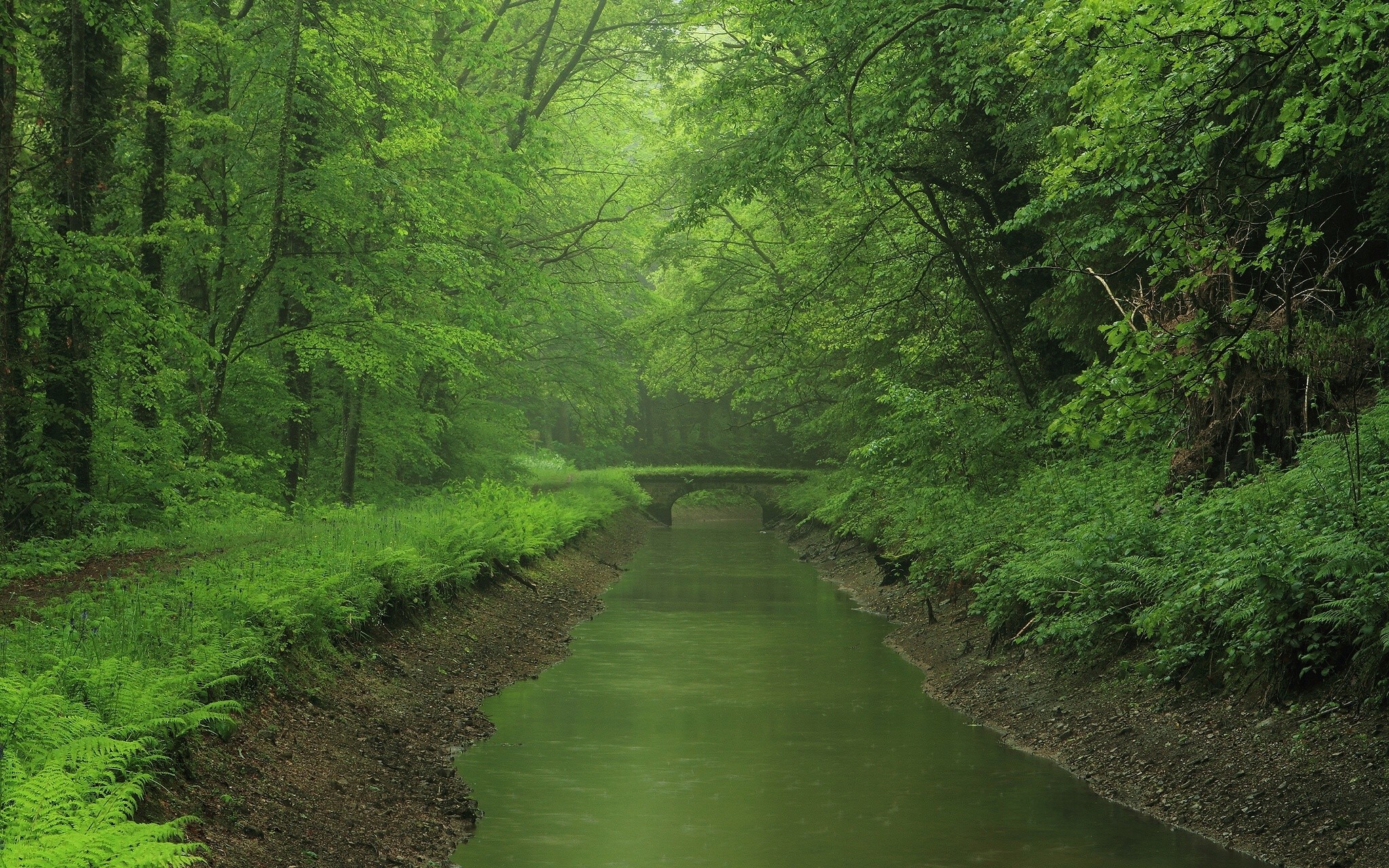 Fonds d'cran Nature Fleuves - Rivires - Torrents 