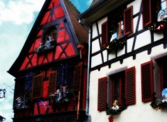  Trips : Europ Noel en alsace