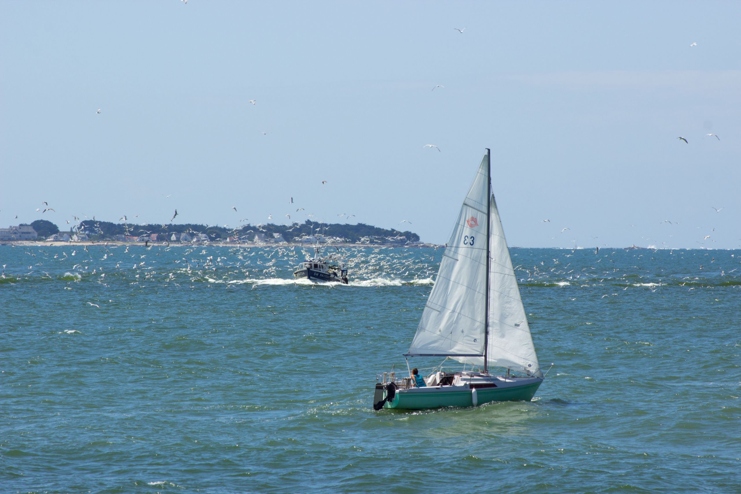 Wallpapers Boats Sailboats 