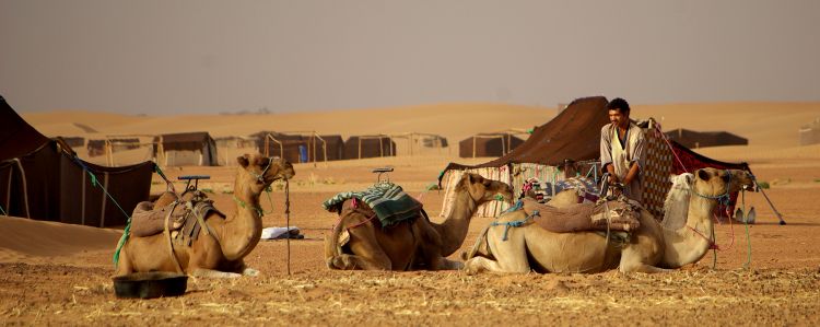 Wallpapers Trips : Africa Morocco Wallpaper N393882